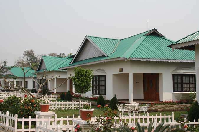 United-21 Grassland, Kaziranga